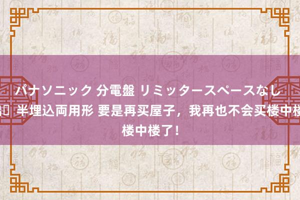 パナソニック 分電盤 リミッタースペースなし 露出・半埋込両用形 要是再买屋子，我再也不会买楼中楼了！