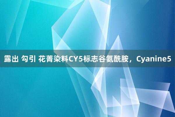 露出 勾引 花菁染料CY5标志谷氨酰胺，Cyanine5