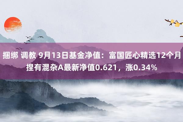 捆绑 调教 9月13日基金净值：富国匠心精选12个月捏有混杂A最新净值0.621，涨0.34%