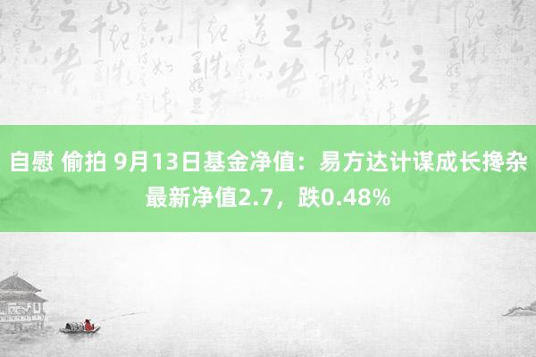 自慰 偷拍 9月13日基金净值：易方达计谋成长搀杂最新净值2.7，跌0.48%