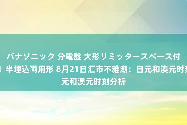 パナソニック 分電盤 大形リミッタースペース付 露出・半埋込両用形 8月21日汇市不雅潮：日元和澳元时刻分析