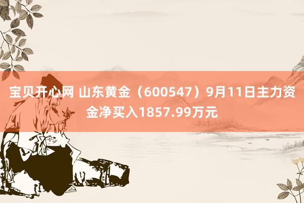 宝贝开心网 山东黄金（600547）9月11日主力资金净买入1857.99万元