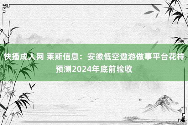 快播成人网 莱斯信息：安徽低空遨游做事平台花样预测2024年底前验收