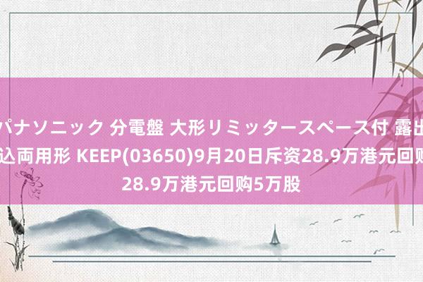 パナソニック 分電盤 大形リミッタースペース付 露出・半埋込両用形 KEEP(03650)9月20日斥资28.9万港元回购5万股