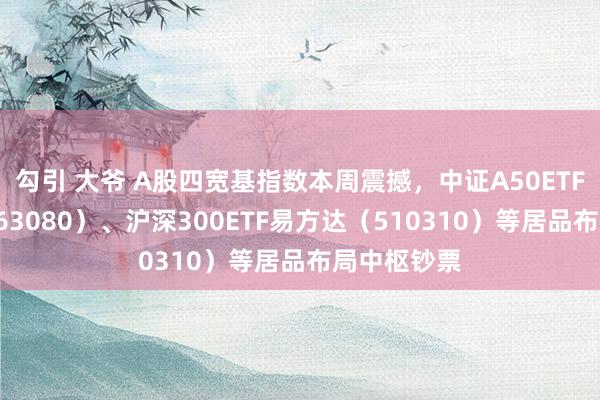 勾引 大爷 A股四宽基指数本周震撼，中证A50ETF易方达（563080）、沪深300ETF易方达（510310）等居品布局中枢钞票