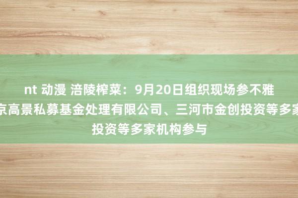 nt 动漫 涪陵榨菜：9月20日组织现场参不雅行为，北京高景私募基金处理有限公司、三河市金创投资等多家机构参与