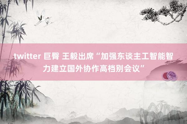 twitter 巨臀 王毅出席“加强东谈主工智能智力建立国外协作高档别会议”