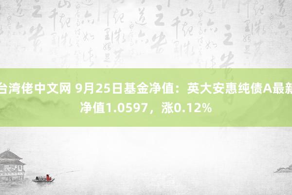 台湾佬中文网 9月25日基金净值：英大安惠纯债A最新净值1.0597，涨0.12%