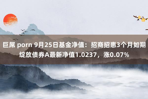 巨屌 porn 9月25日基金净值：招商招惠3个月如期绽放债券A最新净值1.0237，涨0.07%