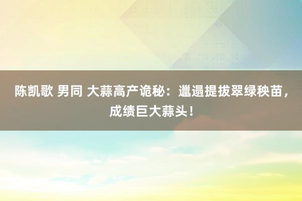 陈凯歌 男同 大蒜高产诡秘：邋遢提拔翠绿秧苗，成绩巨大蒜头！