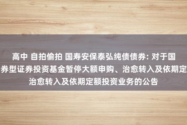 高中 自拍偷拍 国寿安保泰弘纯债债券: 对于国寿安保泰弘纯债债券型证券投资基金暂停大额申购、治愈转入及依期定额投资业务的公告