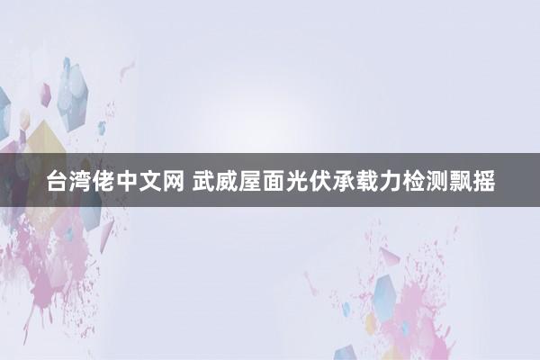 台湾佬中文网 武威屋面光伏承载力检测飘摇