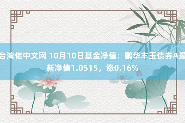 台湾佬中文网 10月10日基金净值：鹏华丰玉债券A最新净值1.0515，涨0.16%