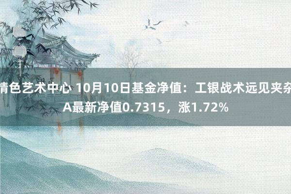 情色艺术中心 10月10日基金净值：工银战术远见夹杂A最新净值0.7315，涨1.72%