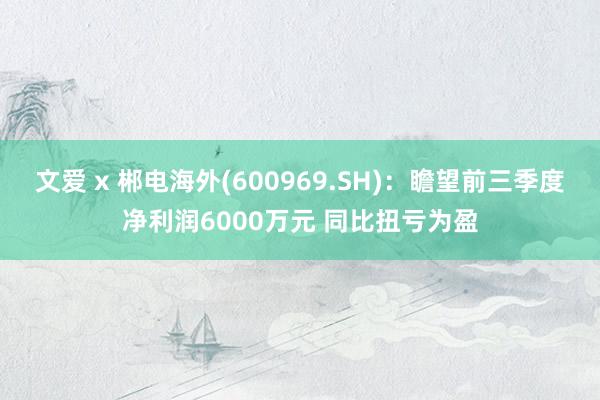 文爱 x 郴电海外(600969.SH)：瞻望前三季度净利润6000万元 同比扭亏为盈