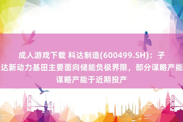 成人游戏下载 科达制造(600499.SH)：子公司重庆科达新动力基田主要面向储能负极界限，部分谋略产能于近期投产