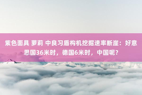 紫色面具 萝莉 中良习盾构机挖掘速率断崖：好意思国36米时，德国6米时，中国呢？