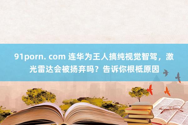 91porn. com 连华为王人搞纯视觉智驾，激光雷达会被扬弃吗？告诉你根柢原因