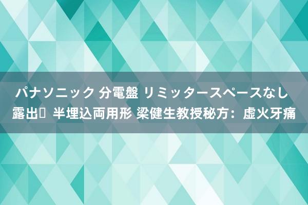 パナソニック 分電盤 リミッタースペースなし 露出・半埋込両用形 梁健生教授秘方：虚火牙痛