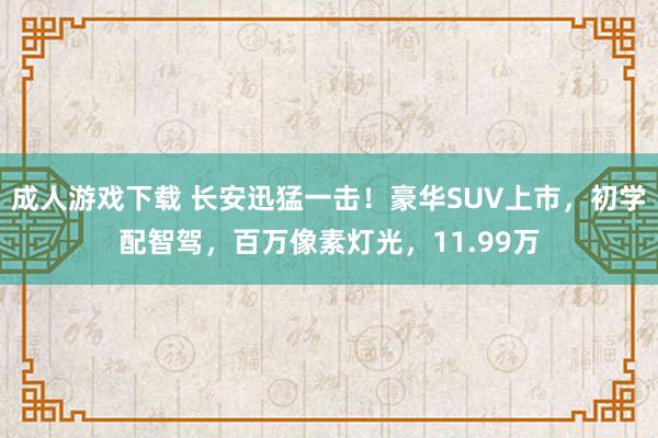 成人游戏下载 长安迅猛一击！豪华SUV上市，初学配智驾，百万像素灯光，11.99万