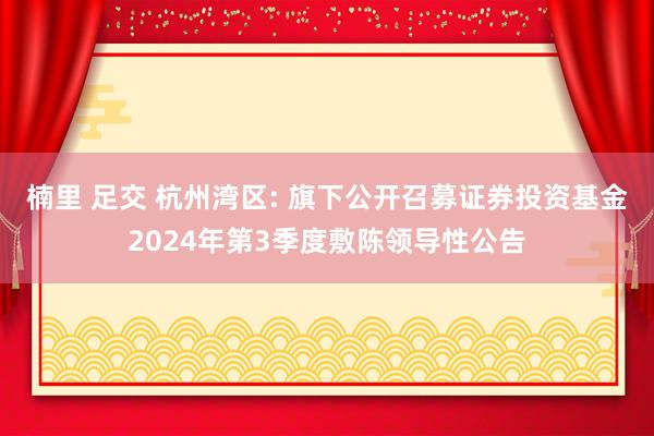 楠里 足交 杭州湾区: 旗下公开召募证券投资基金2024年第3季度敷陈领导性公告