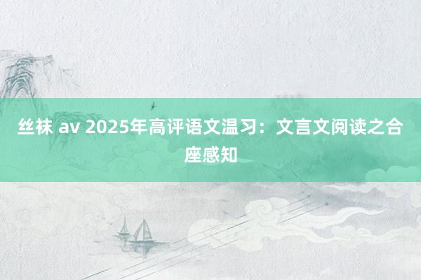 丝袜 av 2025年高评语文温习：文言文阅读之合座感知