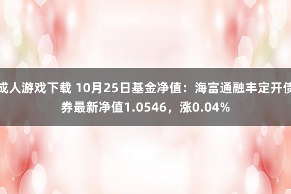 成人游戏下载 10月25日基金净值：海富通融丰定开债券最新净值1.0546，涨0.04%