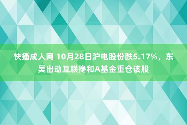 快播成人网 10月28日沪电股份跌5.17%，东吴出动互联搀和A基金重仓该股