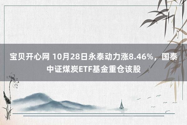 宝贝开心网 10月28日永泰动力涨8.46%，国泰中证煤炭ETF基金重仓该股