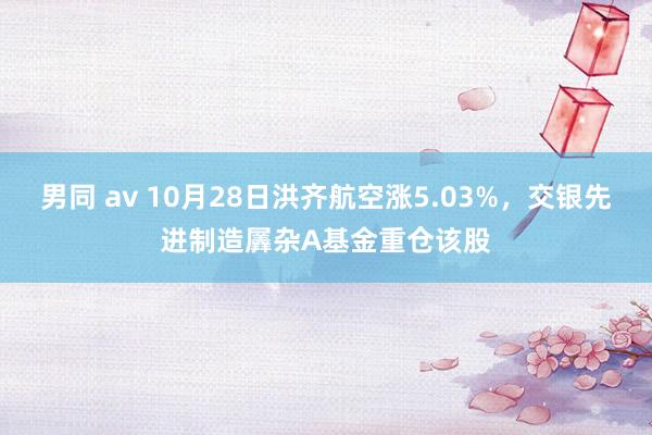 男同 av 10月28日洪齐航空涨5.03%，交银先进制造羼杂A基金重仓该股