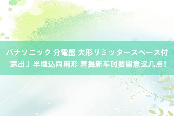 パナソニック 分電盤 大形リミッタースペース付 露出・半埋込両用形 喜提新车时要留意这几点！