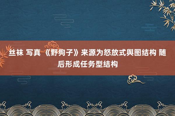 丝袜 写真 《野狗子》来源为怒放式舆图结构 随后形成任务型结构