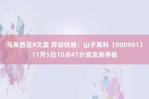 马来西亚#文爱 异动快报：山子高科（000981）11月5日10点47分波及涨停板