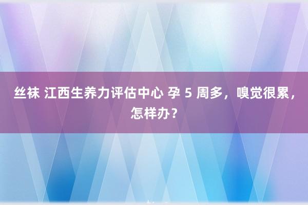 丝袜 江西生养力评估中心 孕 5 周多，嗅觉很累，怎样办？