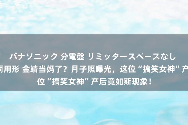 パナソニック 分電盤 リミッタースペースなし 露出・半埋込両用形 金靖当妈了？月子照曝光，这位“搞笑女神”产后竟如斯现象！