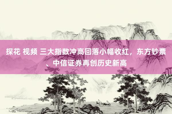 探花 视频 三大指数冲高回落小幅收红，东方钞票、中信证券再创历史新高