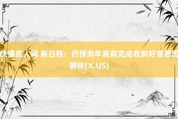 快播成人网 新日铁：仍预测年底前完成收购好意思国钢铁(X.US)