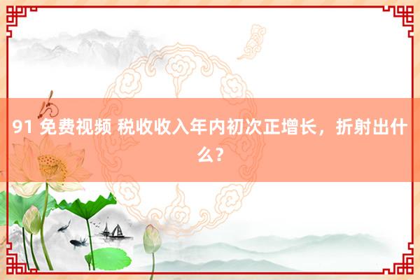 91 免费视频 税收收入年内初次正增长，折射出什么？