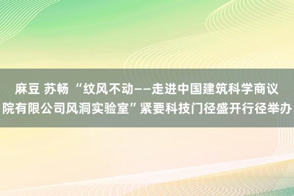 麻豆 苏畅 “纹风不动——走进中国建筑科学商议院有限公司风洞实验室”紧要科技门径盛开行径举办