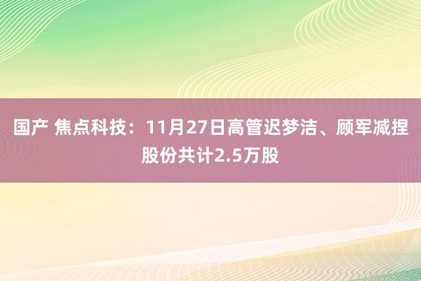 国产 焦点科技：11月27日高管迟梦洁、顾军减捏股份共计2.5万股