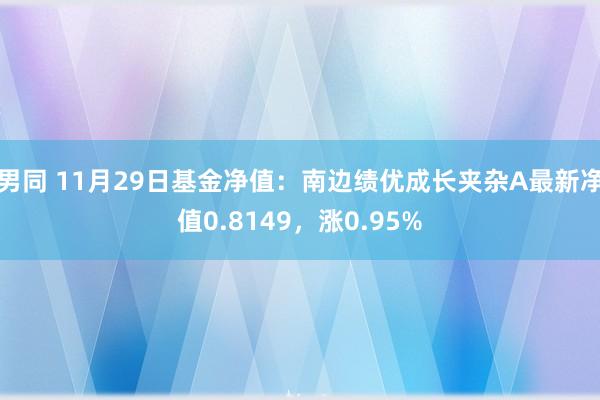 男同 11月29日基金净值：南边绩优成长夹杂A最新净值0.8149，涨0.95%