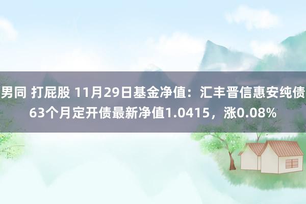 男同 打屁股 11月29日基金净值：汇丰晋信惠安纯债63个月定开债最新净值1.0415，涨0.08%