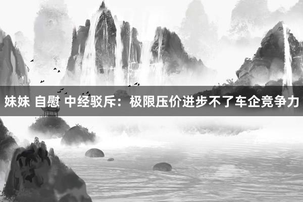 妹妹 自慰 中经驳斥：极限压价进步不了车企竞争力