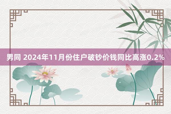 男同 2024年11月份住户破钞价钱同比高涨0.2%