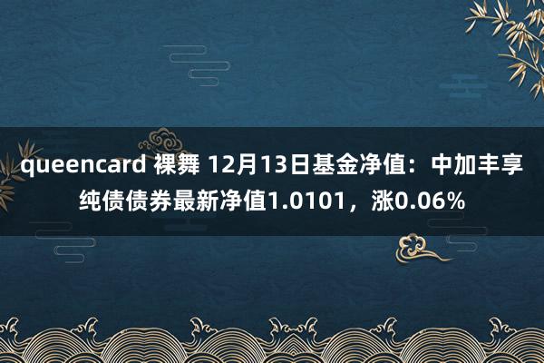 queencard 裸舞 12月13日基金净值：中加丰享纯债债券最新净值1.0101，涨0.06%