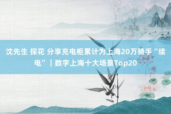 沈先生 探花 分享充电柜累计为上海20万骑手“续电”｜数字上海十大场景Top20