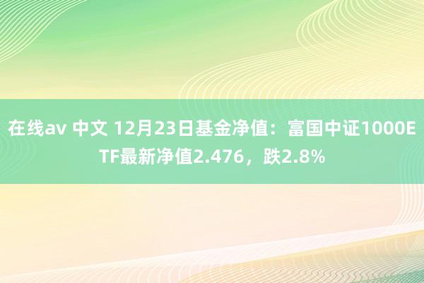 在线av 中文 12月23日基金净值：富国中证1000ETF最新净值2.476，跌2.8%