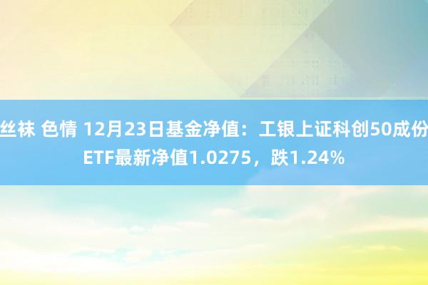 丝袜 色情 12月23日基金净值：工银上证科创50成份ETF最新净值1.0275，跌1.24%