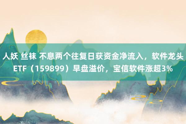 人妖 丝袜 不息两个往复日获资金净流入，软件龙头ETF（159899）早盘溢价，宝信软件涨超3%