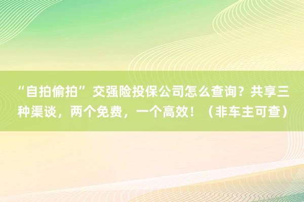 “自拍偷拍” 交强险投保公司怎么查询？共享三种渠谈，两个免费，一个高效！（非车主可查）